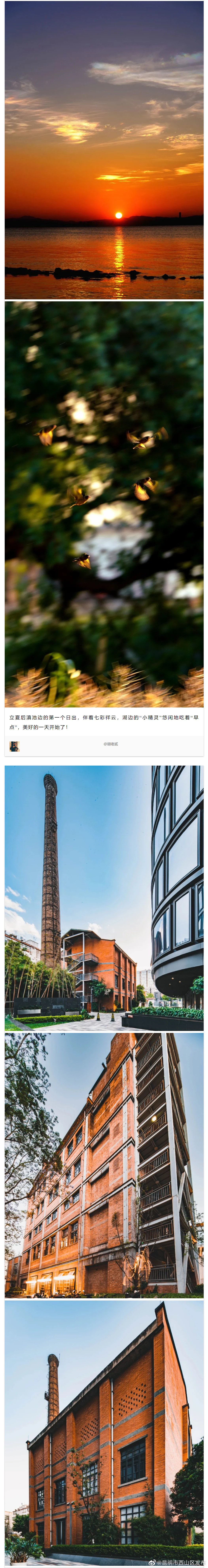 昆明市西山区发布