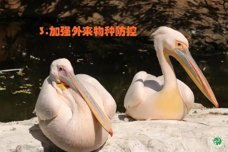 昆明动物园