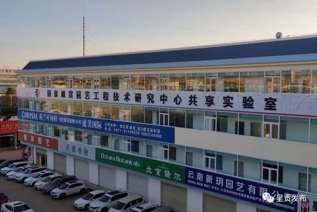 呈贡发布