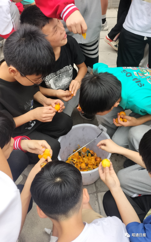 昭通日报