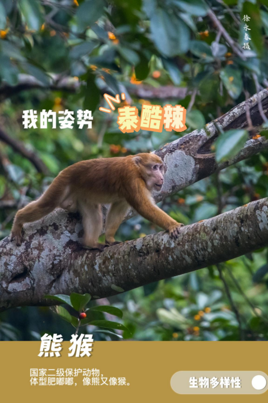 德宏团结报