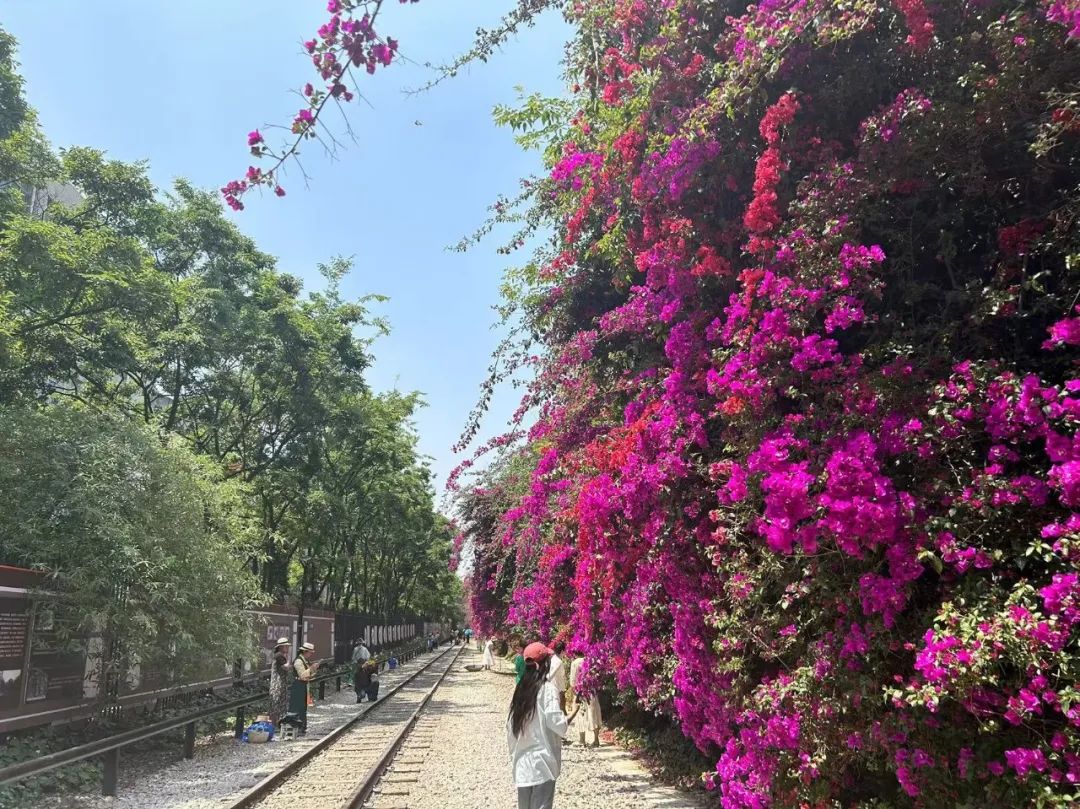 昆明文旅