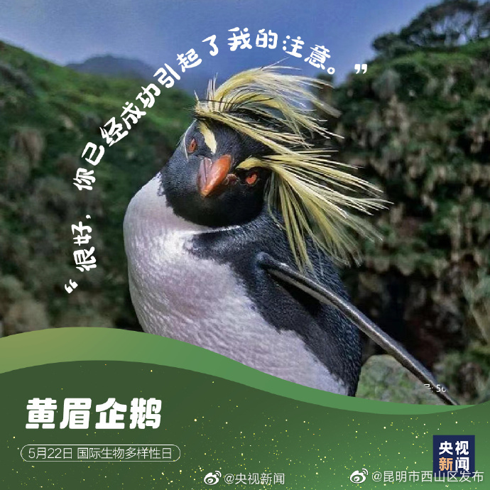 昆明市西山区发布