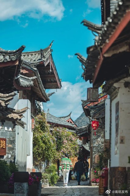 嵩明发布