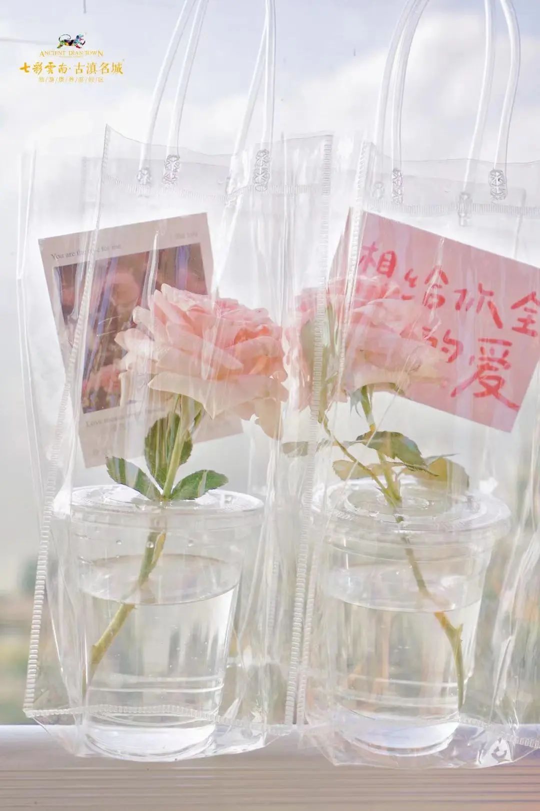 晋宁诗意的栖居地