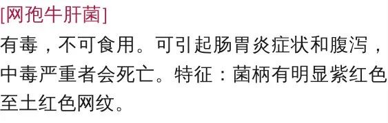 宜良之窗