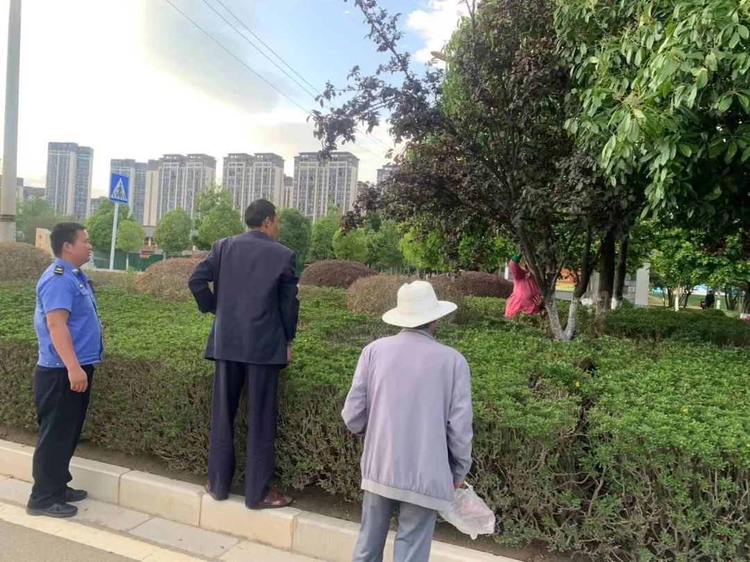 保山新闻网