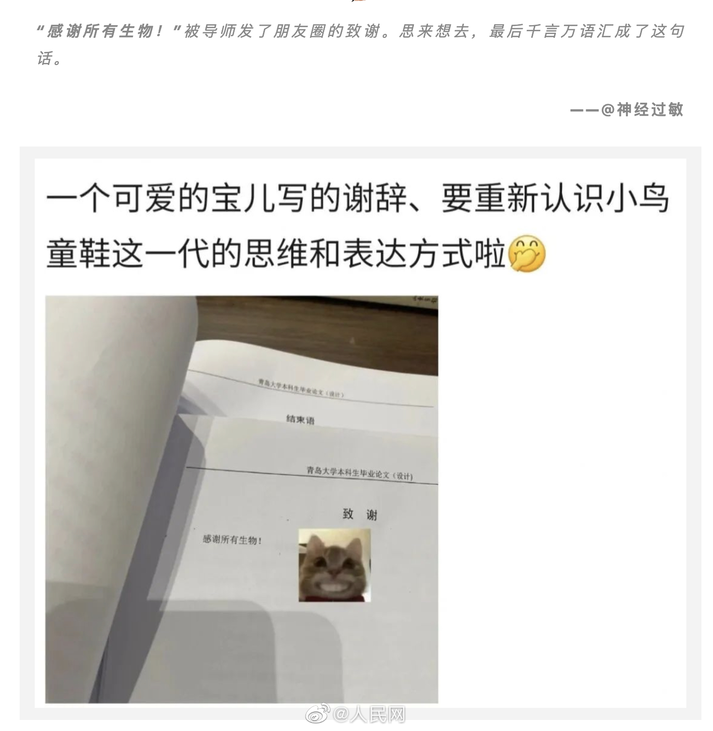 人民网