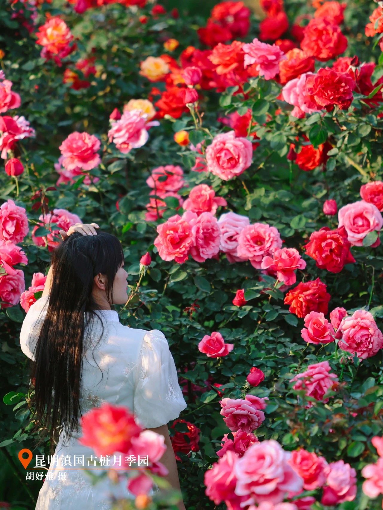 云南省文化和旅游厅