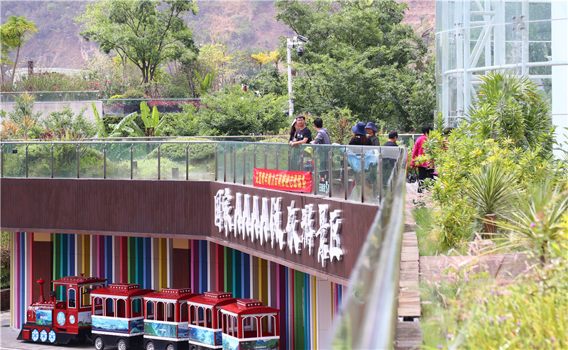 云南省文化和旅游厅