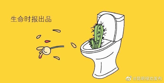 昆明禄劝发布