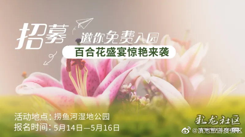 捞渔河湿地公园开启百合花盛宴，邀您免费入园拍~拍~拍~