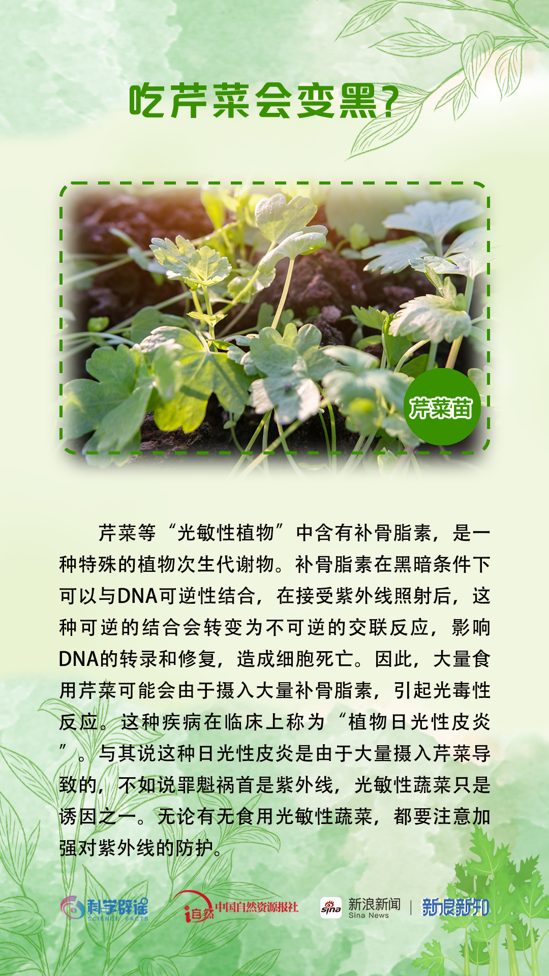 美丽云南微科普