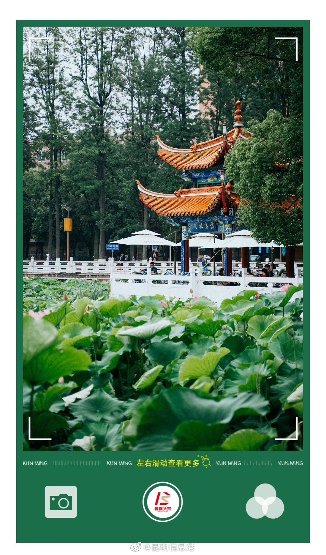 昆明信息港