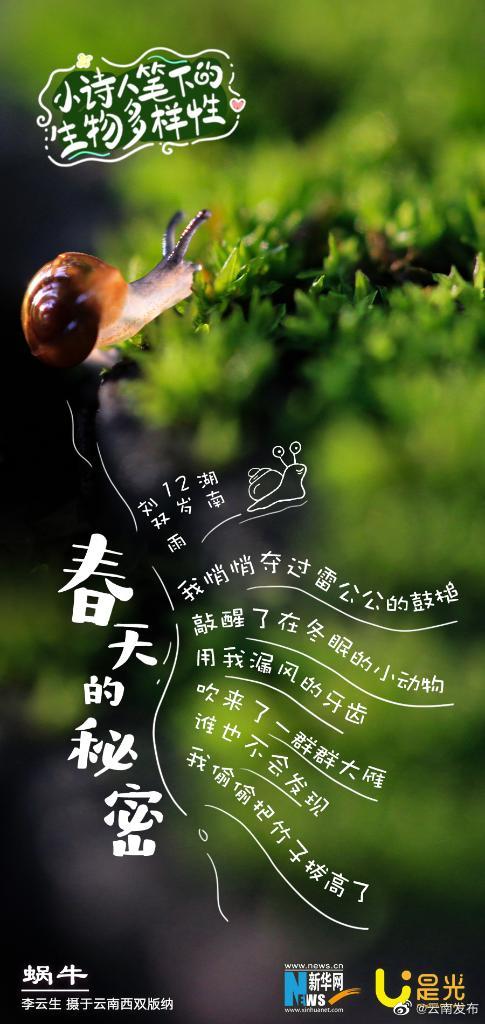 云南发布