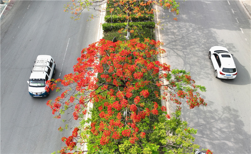 云南省文化和旅游厅