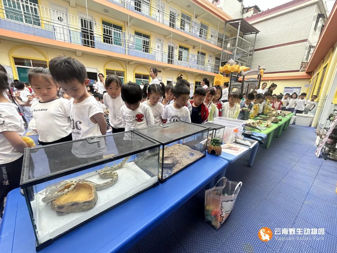 云南野生动物园