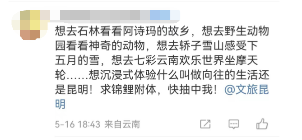 昆明文旅