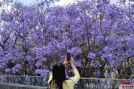 昆明文旅