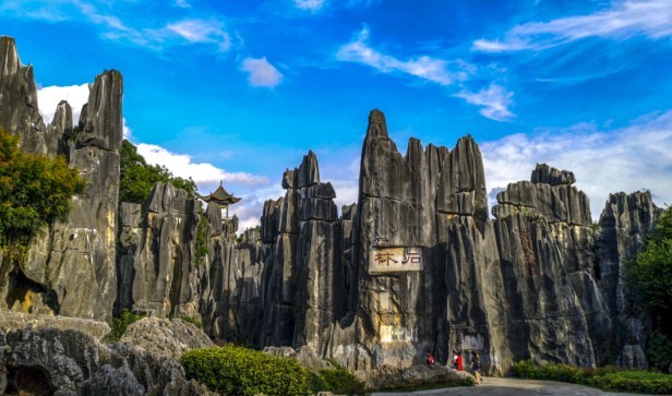 云南省文化和旅游厅