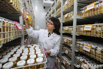 呈贡发布