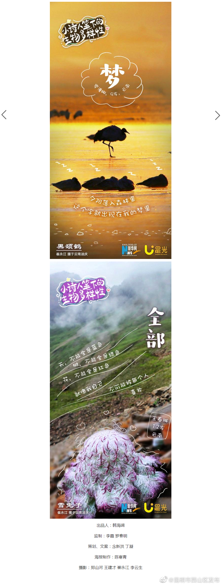 昆明市西山区发布