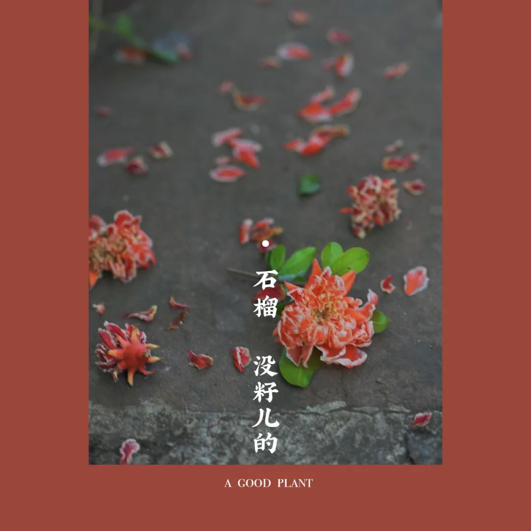 昆明市金殿名胜区