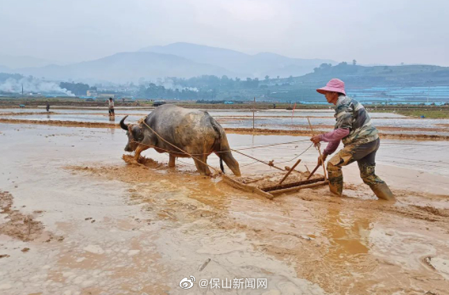 保山新闻网