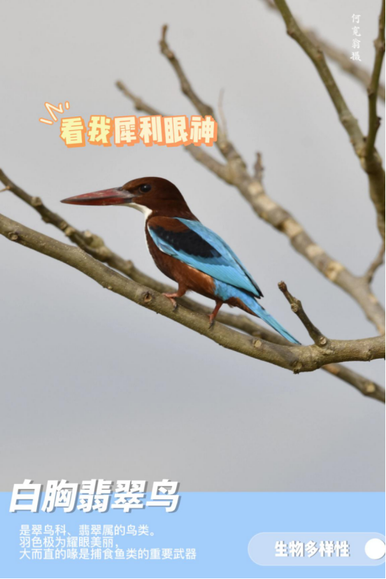 德宏团结报