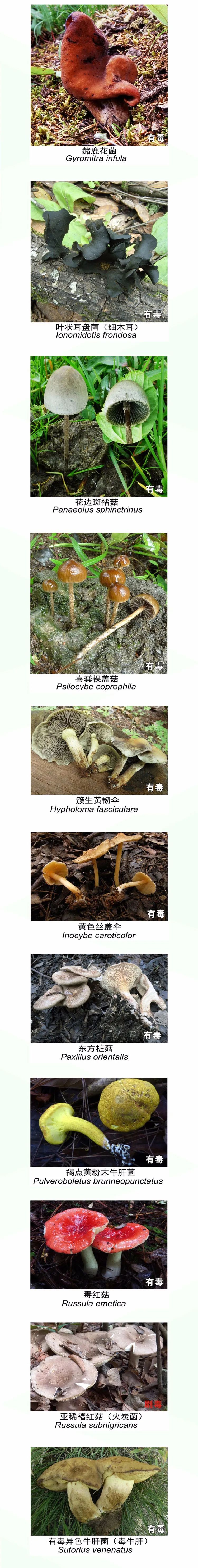 悦读嵩明
