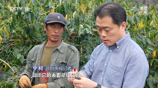 云南省文化和旅游厅