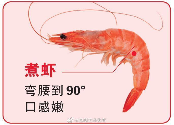 煮虾虾弯成直角口感最好