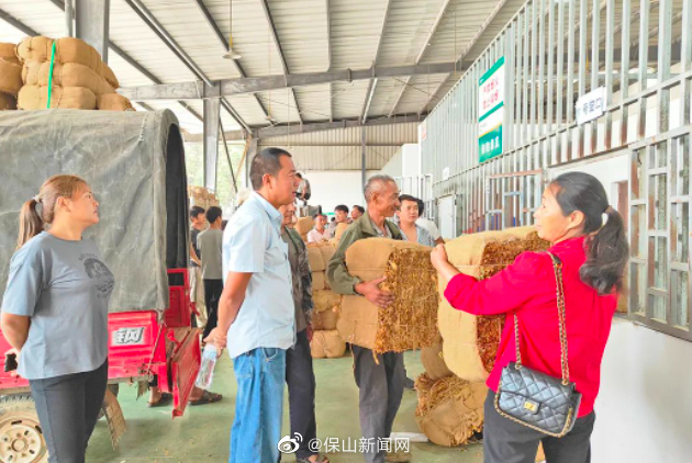 保山新闻网