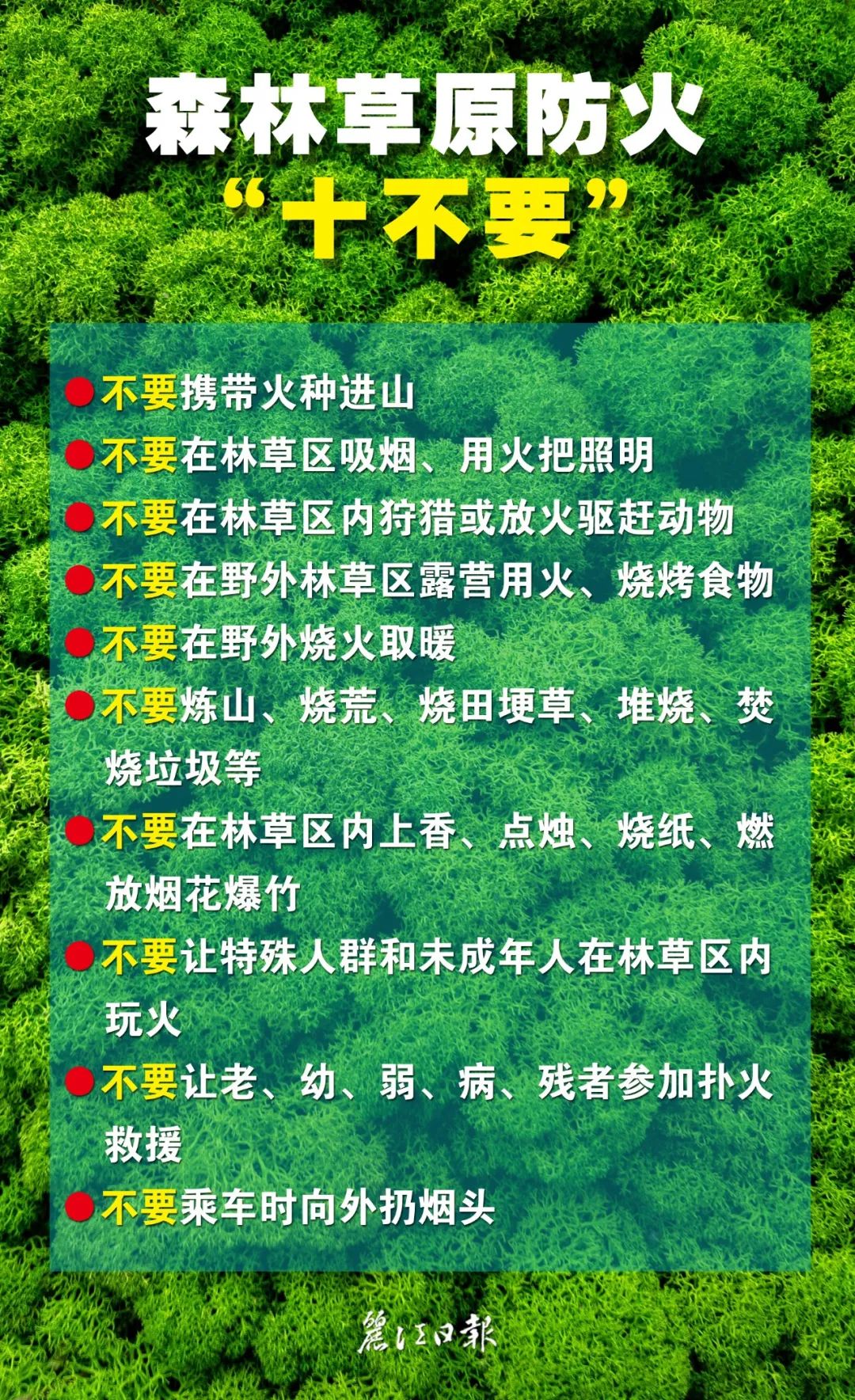 丽江日报