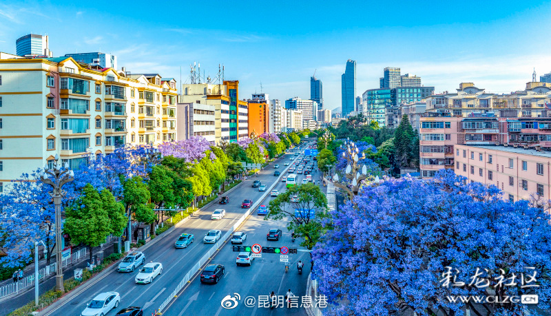 昆明信息港微博