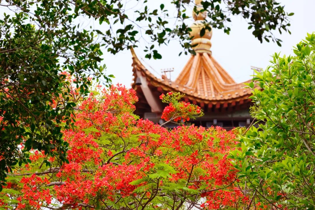 红河文旅