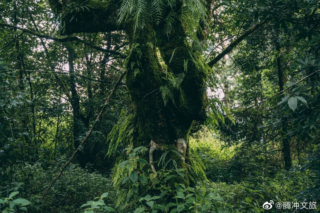 腾冲文旅
