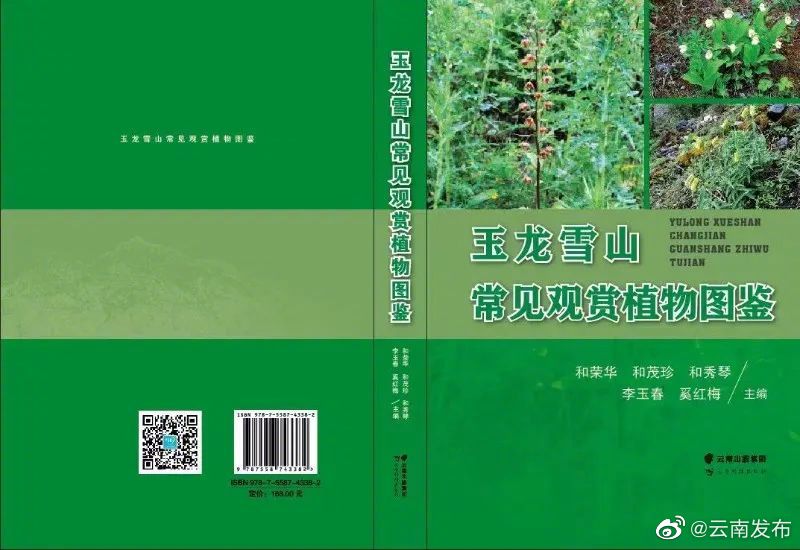 云南发布
