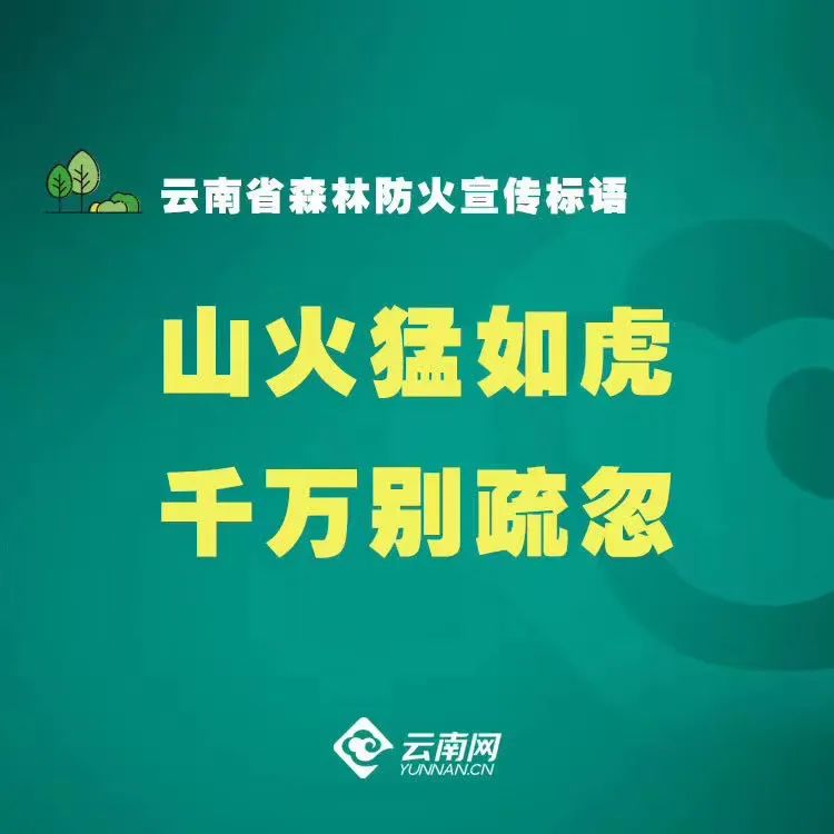 大理日报