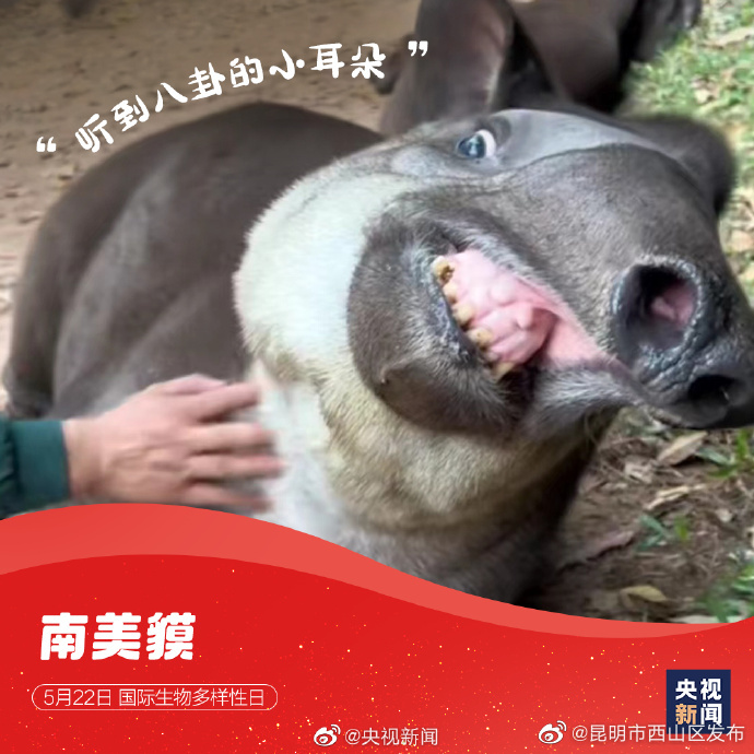 昆明市西山区发布