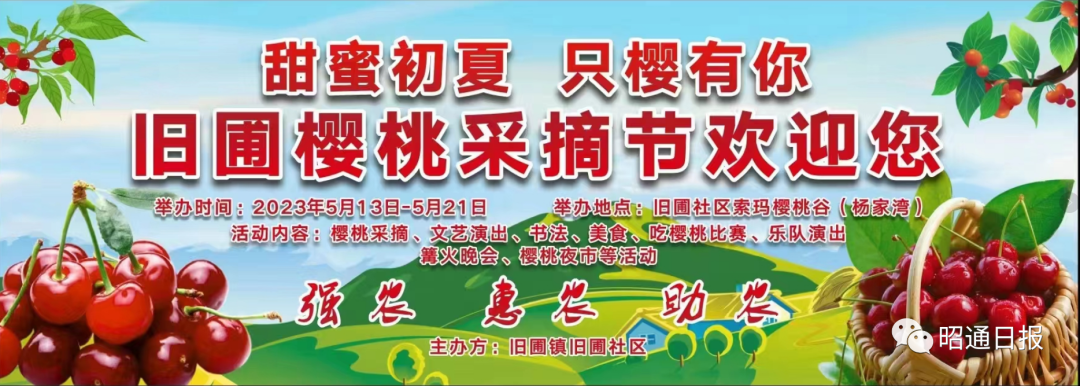 昭通日报