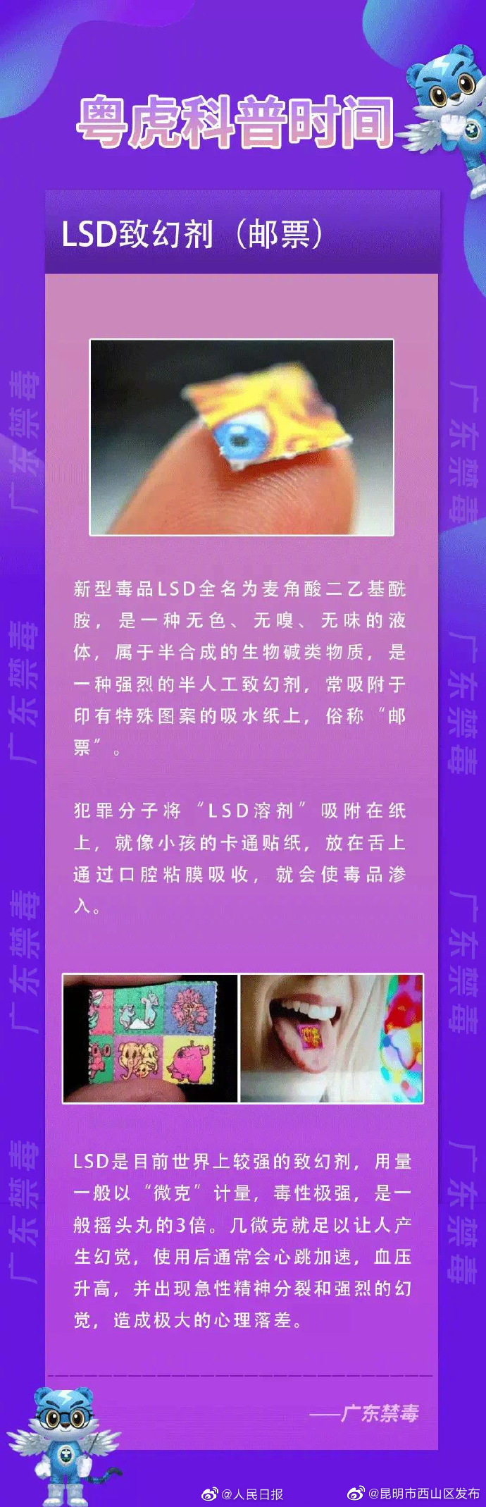 昆明市西山区发布