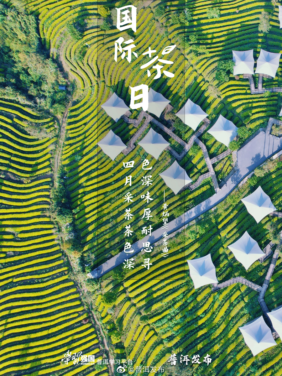 普洱发布