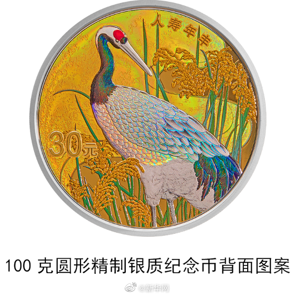 新华网