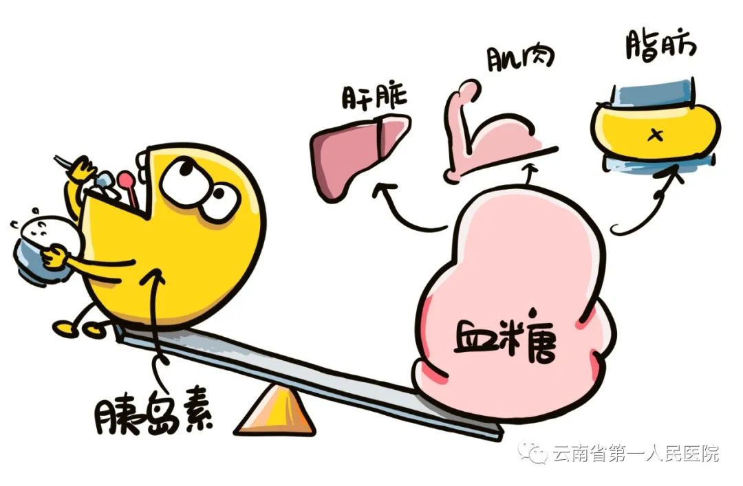云南省第一人民医院