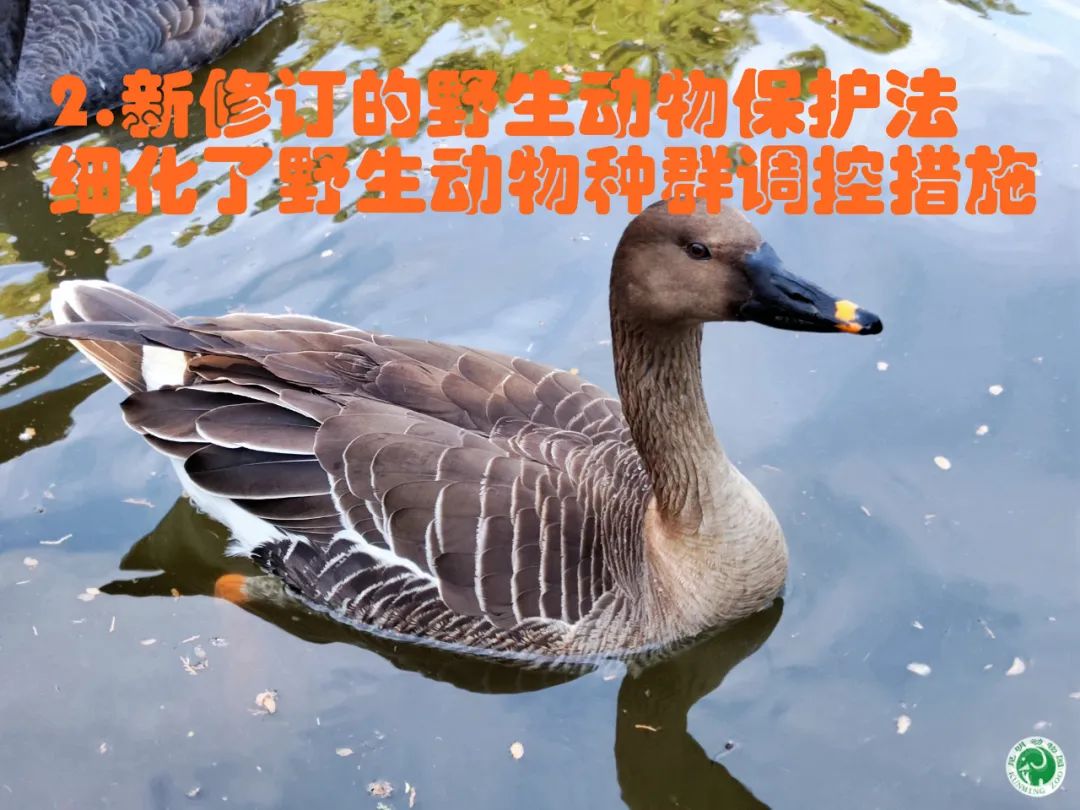 昆明动物园
