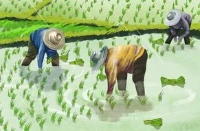 晋宁诗意的栖居地