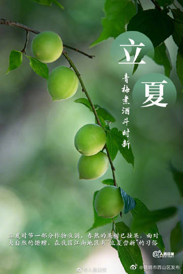 昆明市西山区发布