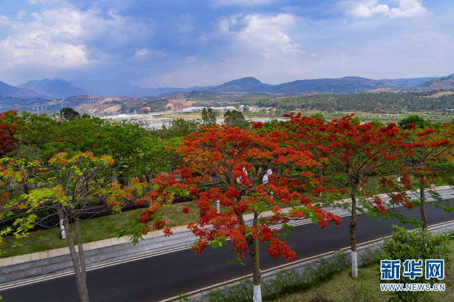 云南省文化和旅游厅