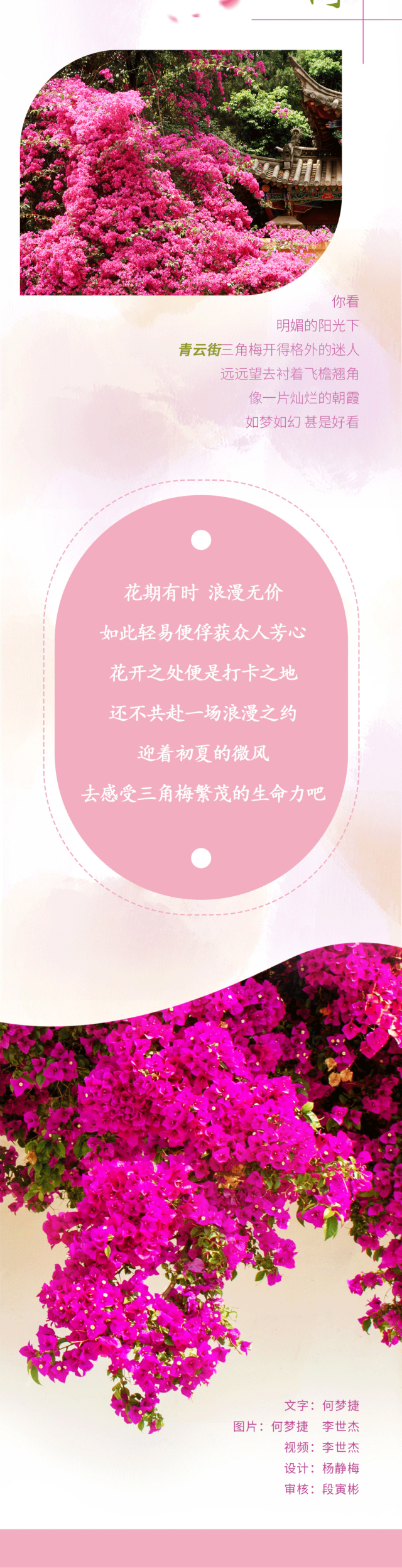 盘龙统战